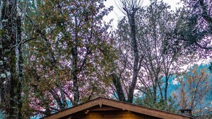 Una cabaña de madera con un porche delantero, rodeada de árboles y un sendero de piedra.