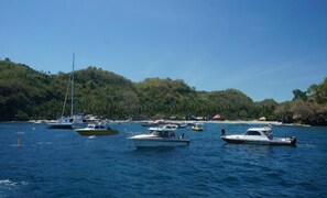Beach - Gamat Garden Home Stay (Penida Island)