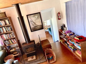 Fireplace, books
