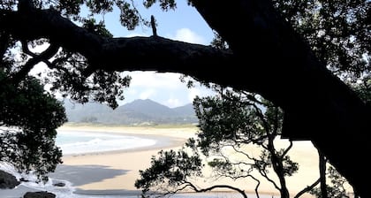 Medlands Beach Bach