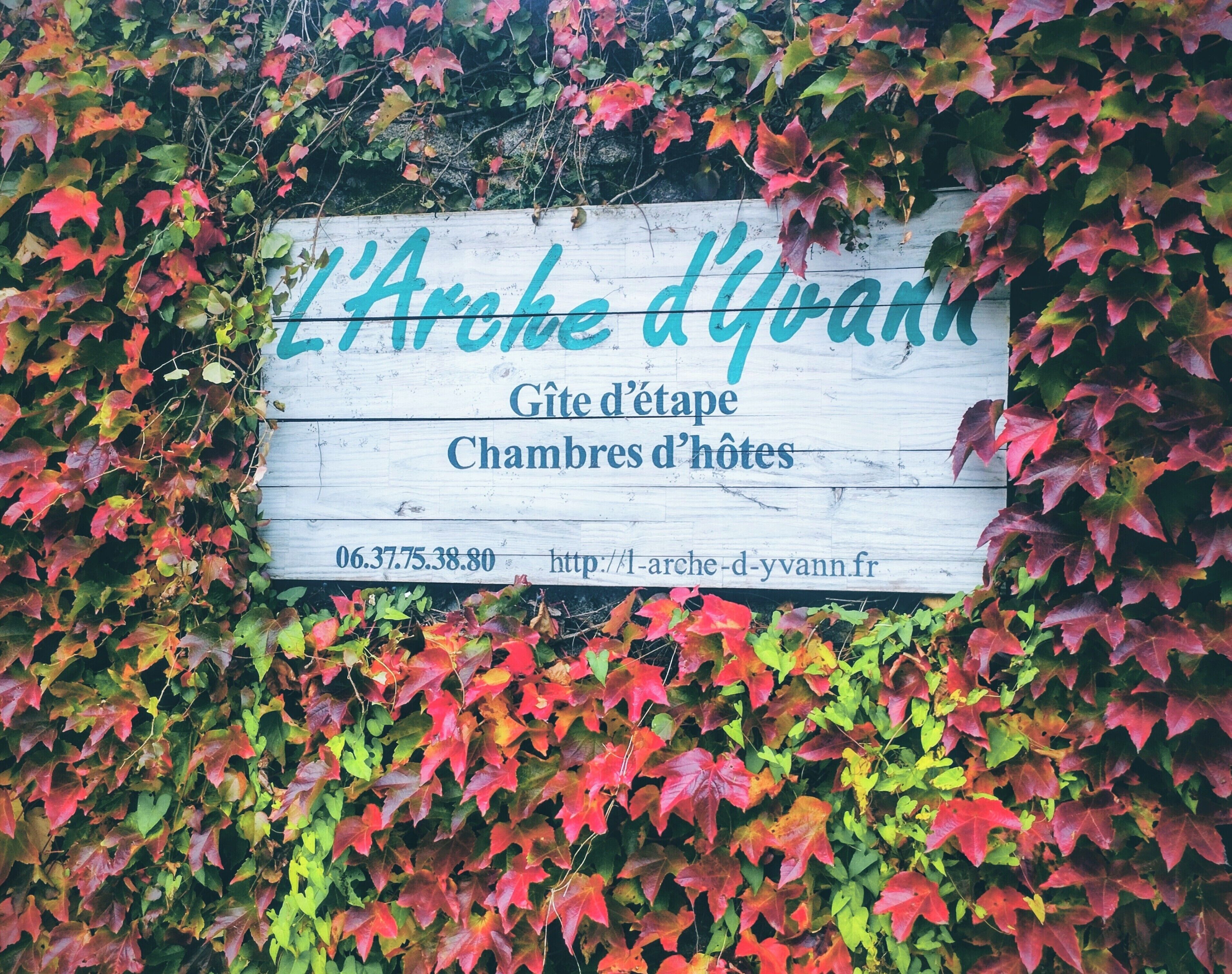 A wooden sign with text indicating 'L'Arche d'Yvann' and 'Gîte d'étape Chambres d'hôtes'.