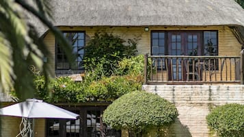 Outdoor pool, pool umbrellas, pool loungers