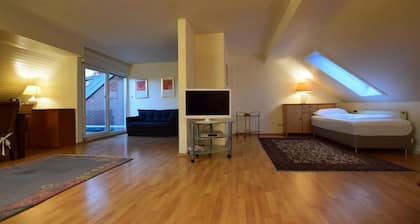 Tolstov-Hotels Generous 3 Room Apartment