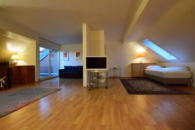 Tolstov-Hotels Generous 3 Room Apartment