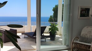 A balcony with a view of the sea, a chair, a potted plant, and a wicker chair.