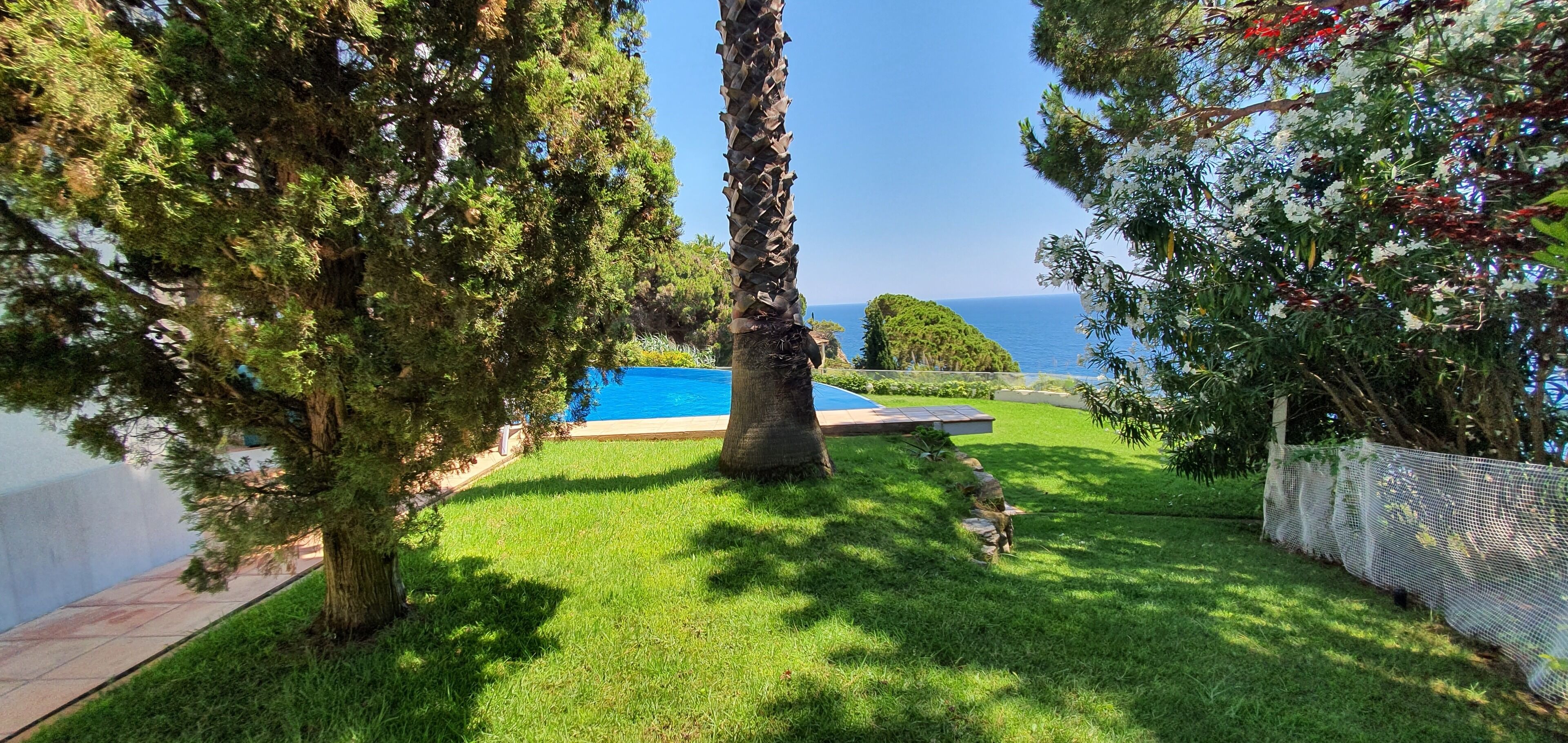 Un patio trasero con piscina, un árbol alto y vista al mar.