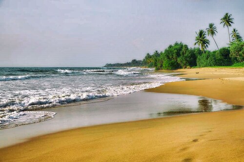 Turtle Paradise Villa