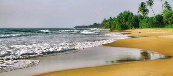 Turtle Paradise Villa