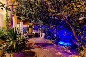 Stroll through our serene garden, featuring lush plants and a tranquil water feature along a winding stone pathway.
