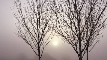 วิวจากที่พัก