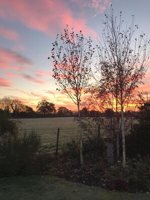 Property grounds - Fair View Bed and Breakfast (Tonbridge)