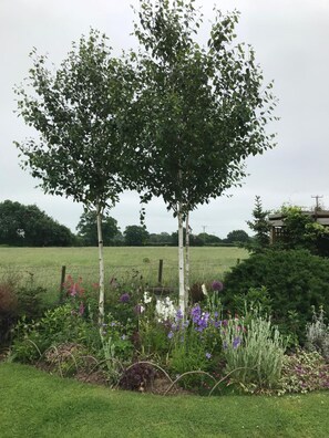 Property grounds - Fair View Bed and Breakfast (Tonbridge)