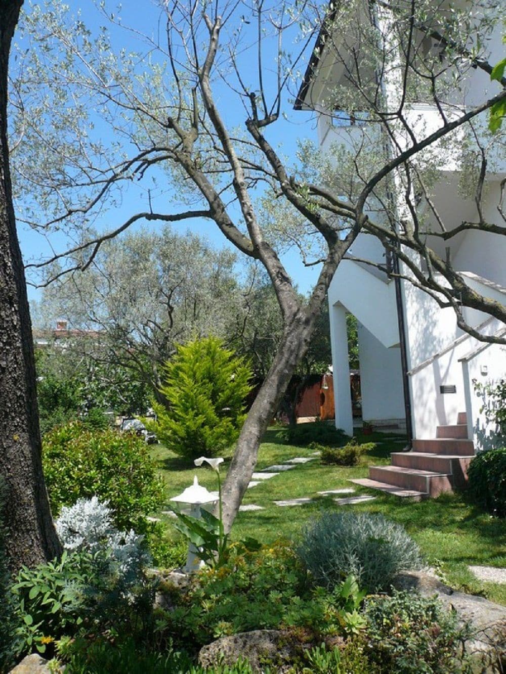 A white building with a garden in front, including a pathway and steps leading to the entrance.