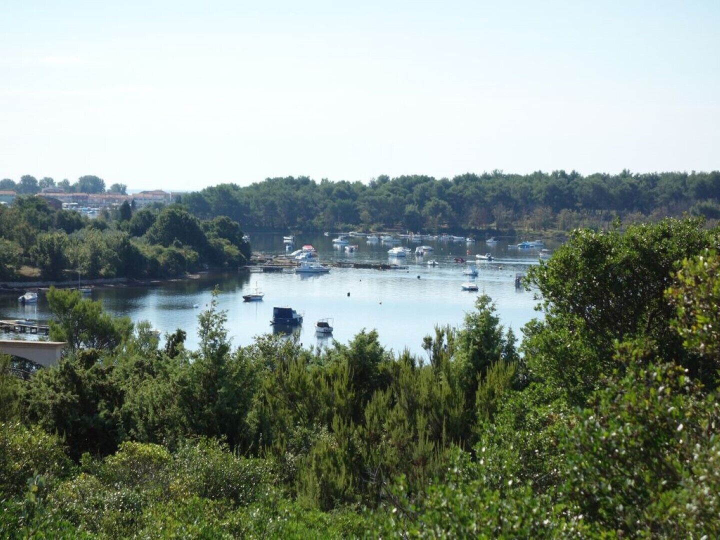 A marina with boats docked, surrounded by dense greenery and a distant shoreline.