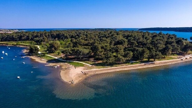An aerial view of a coastal area with a beach, boats, and dense forest.