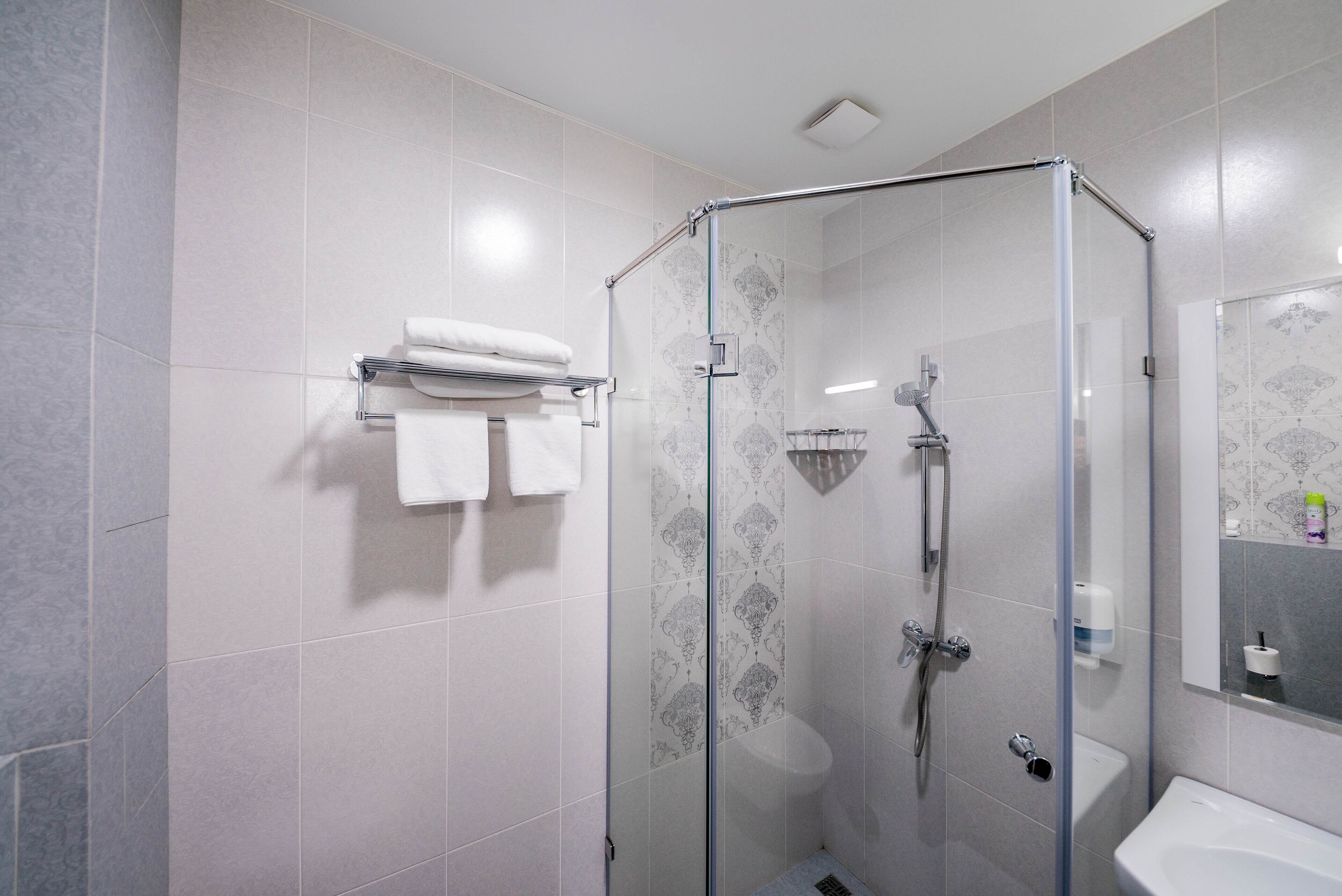 standard double room | bathroom | shower, rainfall showerhead, free toiletries, hair dryer