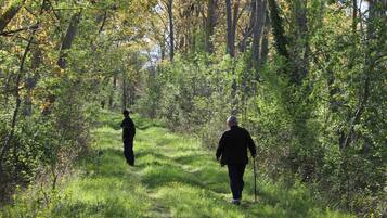 A forest path with two people walking.