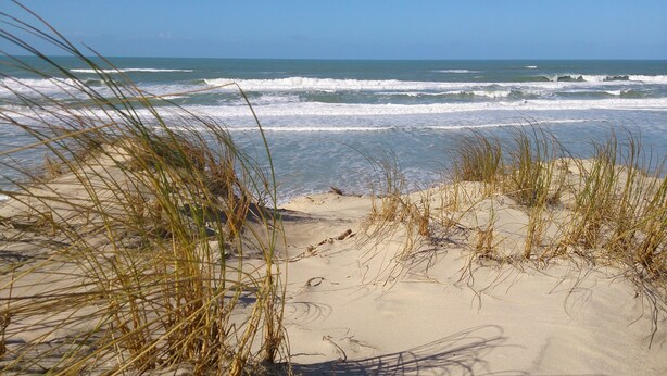 A beach with sand dunes and grass in the foreground, leading to the ocean. - Beautiful new villa, quiet, near forest Biscarrosse / 6p (Biscarrosse)