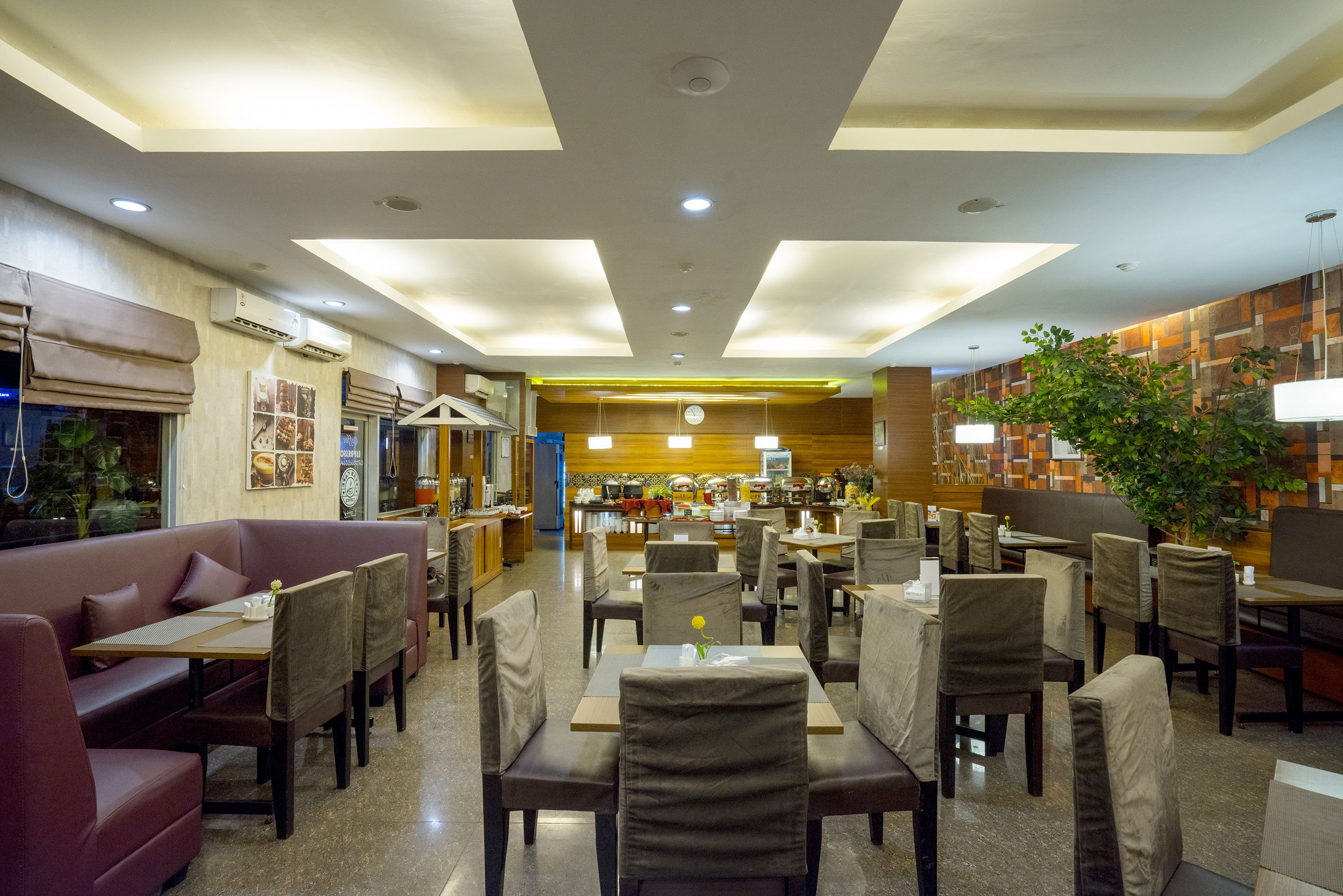 A restaurant with booths, tables, and chairs. There are ceiling lights and a plant.