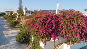 Studio, vue mer | Extérieur