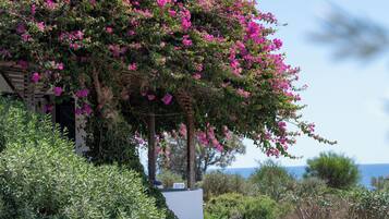 Studio, Sea View | Terrace/patio