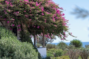 Studio, Sea View | Terrace/patio