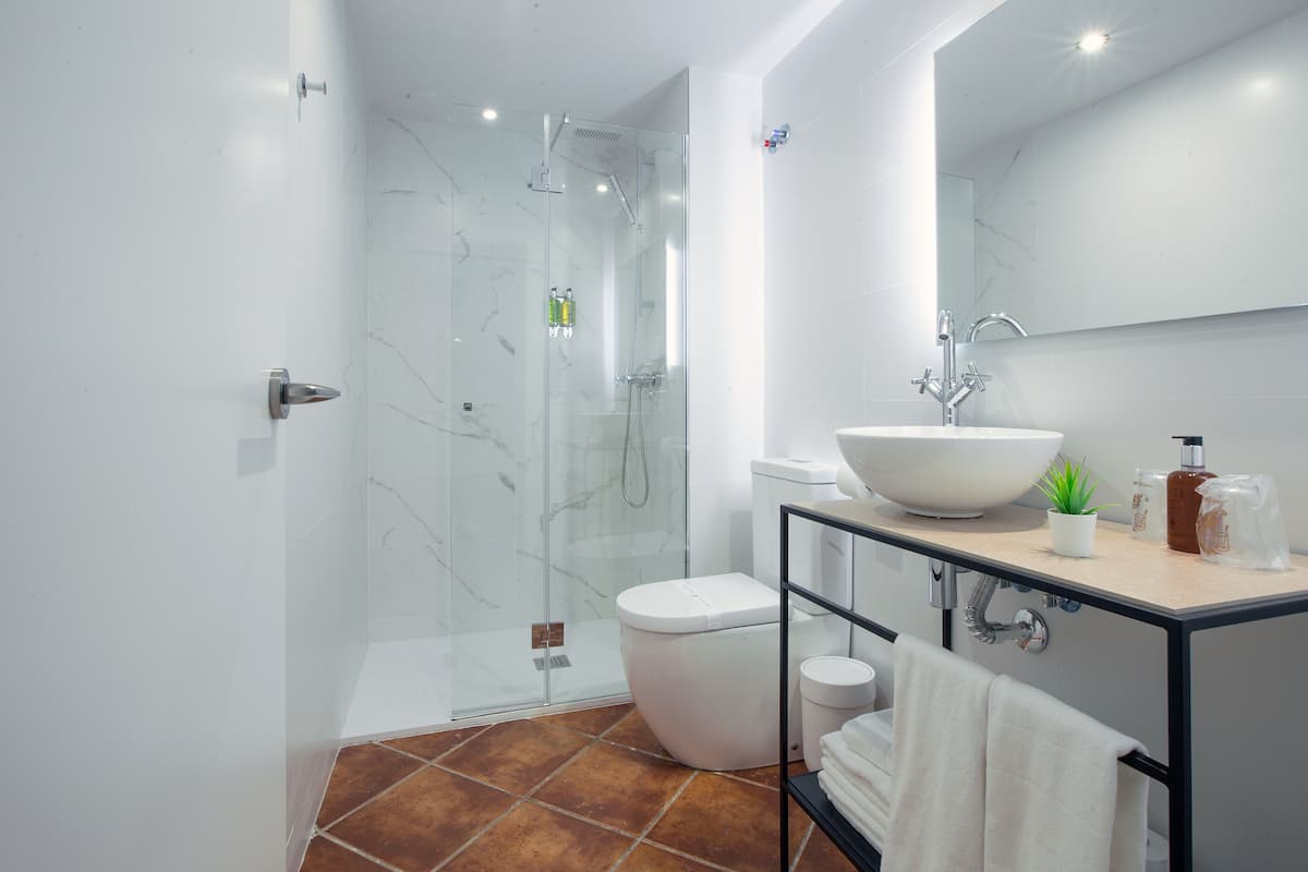 shower, free toiletries, hair dryer, towels