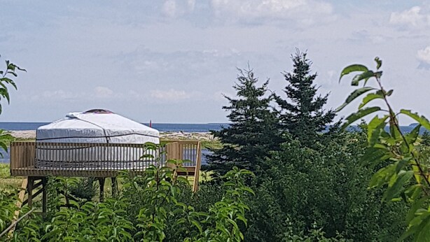 A yurt with a bed, surrounded by dense greenery and a clear sky. - Flying moose yurt at Cabot Shores Wilderness Resort (Englishtown)