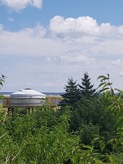 Flying moose yurt at Cabot Shores Wilderness Resort