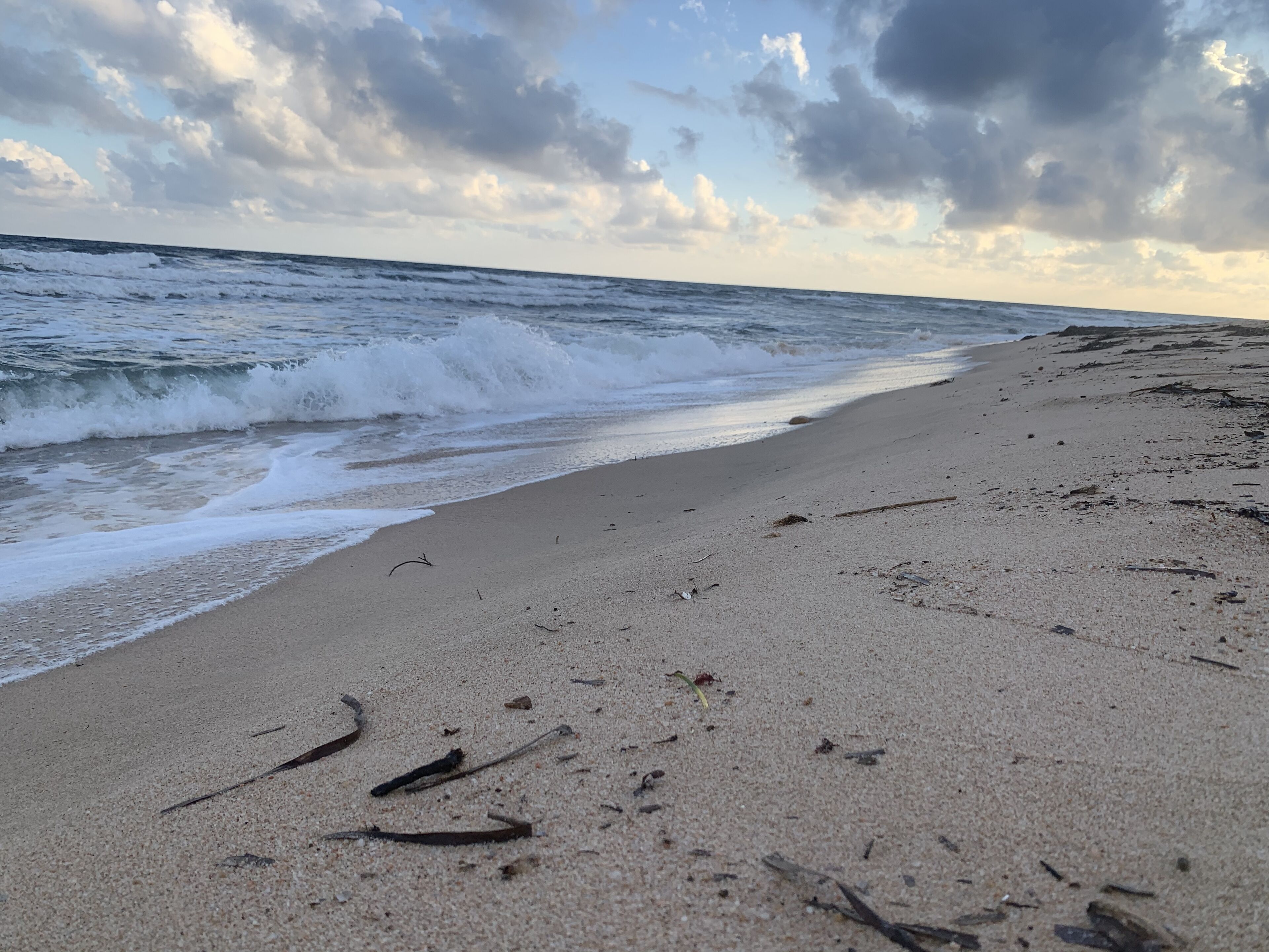 Strand