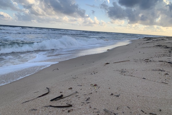 Strand