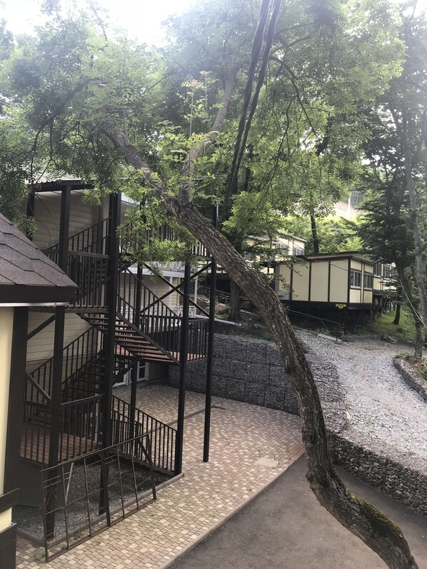 Property grounds - Rucheek (Dzhubga)