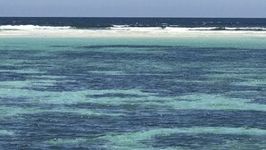 Privéstrand vlakbij, wit zand, 3 strandbars