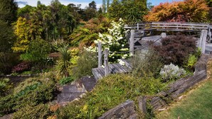 Un jardin avec un pont en bois, différentes plantes et un ciel dégagé.