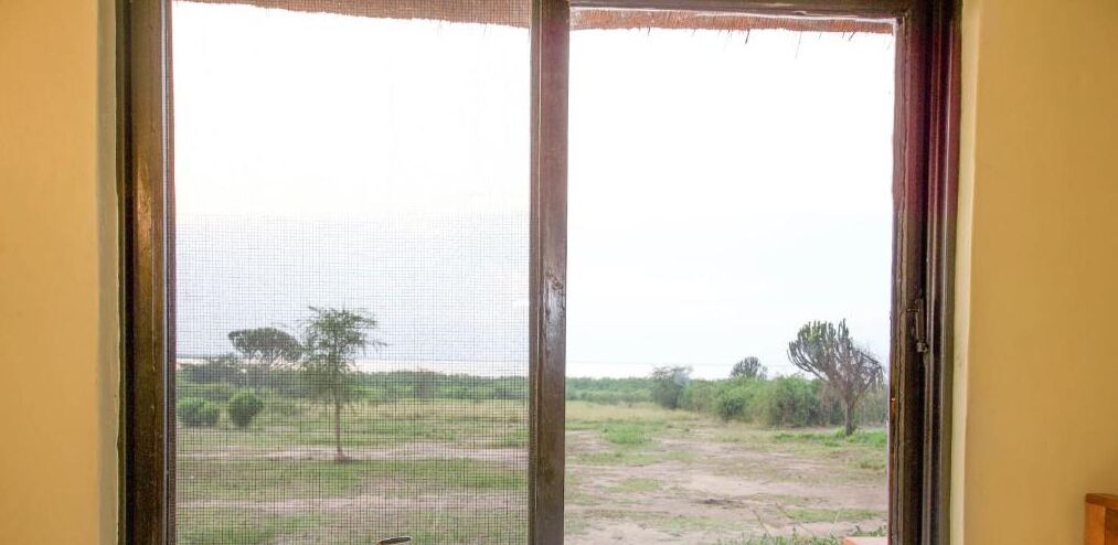 Una habitación con un ventanal grande que da a un espacio verde con árboles.