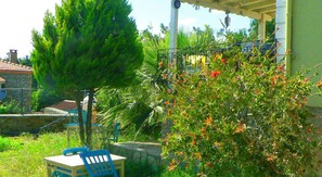 32-inch LED TV with satellite channels, TV