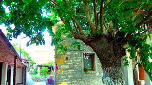 Exterior - Yesildag Pansiyon Gokceada (Gökçeada)