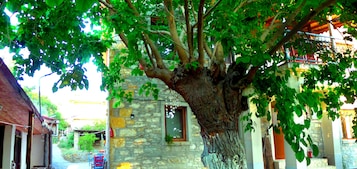 Dış mekân