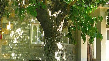 Standard Room, 1 Bedroom, Garden View, Annex Building | 1 bedroom, desk, laptop workspace, free WiFi