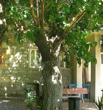 Quarto standard, 1 quarto, vista para o jardim, em edifício anexo | 1 quarto, escrivaninha, espaço de trabalho para notebook. Yesildag Pansiyon Gokceada