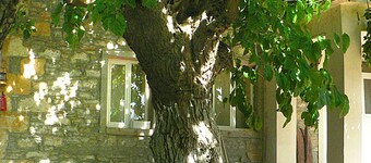 Yesildag Pansiyon Gokceada