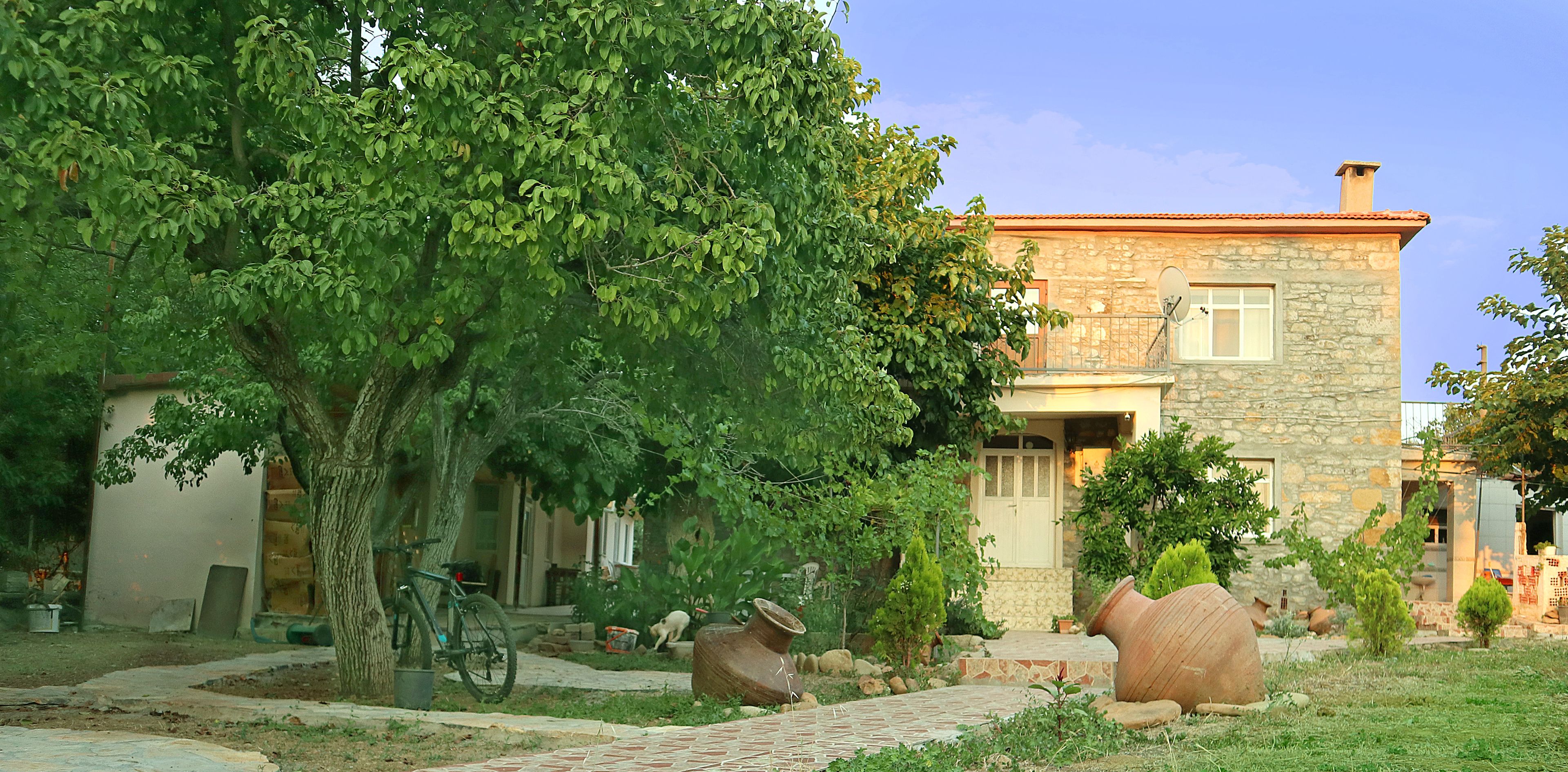 واجهة المنشأة