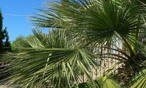 Vue sur le jardin