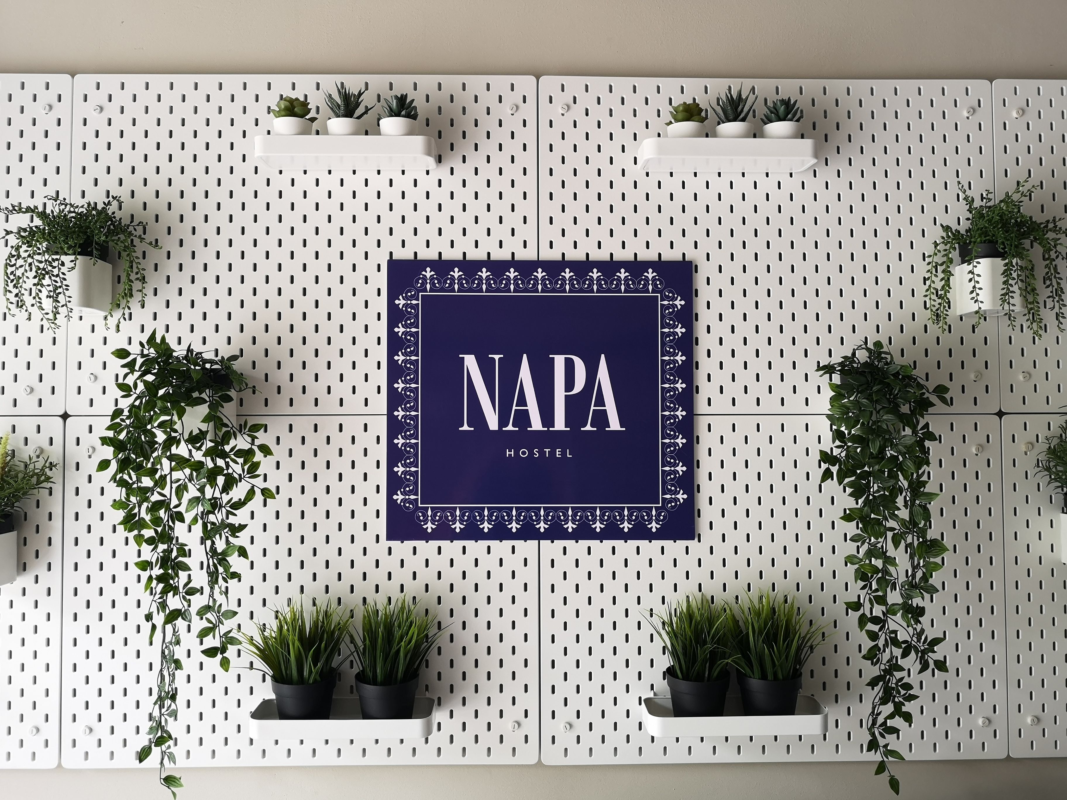 Una pared con un letrero decorativo que dice "NAPA HOTEL", rodeada de plantas en macetas y estantes.