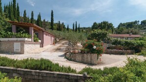 A stone pathway leading to a building with a tiled roof, surrounded by greenery and trees.