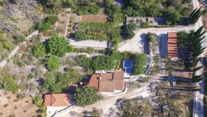 An aerial view of a residential area with multiple houses, some with red-tiled roofs, surrounded by trees and vegetation.