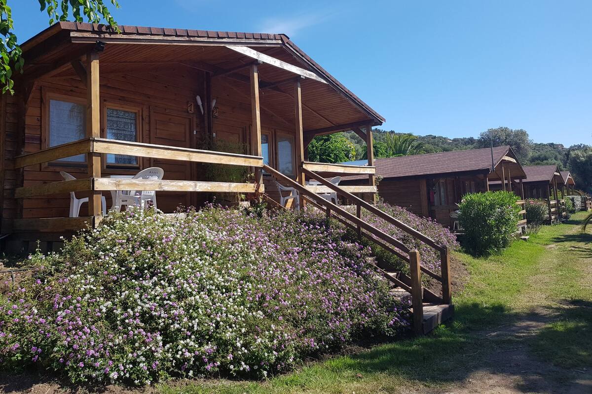 Une cabane en bois dotée d’un porche, entourée d’un jardin où poussent des fleurs violettes et blanches.