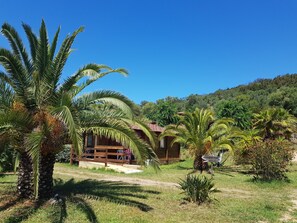 Comfort Double Room, Garden View | Garden view