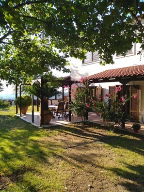 Taman