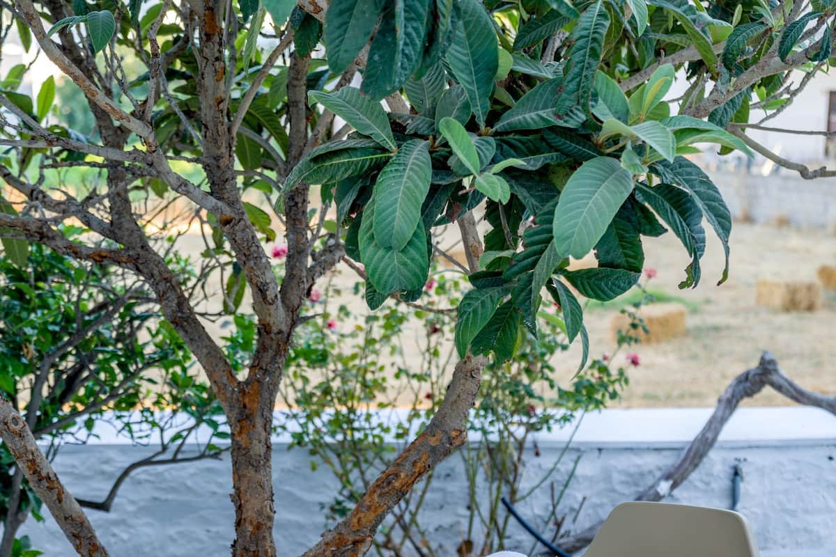 Exclusive-villa | Udsigt fra balkon